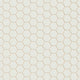 1" Hexagon Sheeted Original Ceramic Mosaic Tile in Limewash Gloss