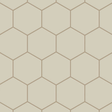 6" Hexagon Original Ceramic Tile in Dolomite Matte