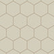 6" Hexagon Original Ceramic Tile in Dolomite Matte