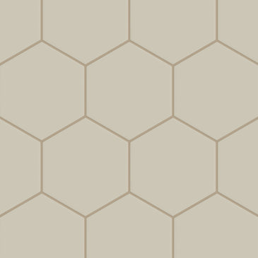 8" Hexagon Original Ceramic Tile in Dolomite Matte