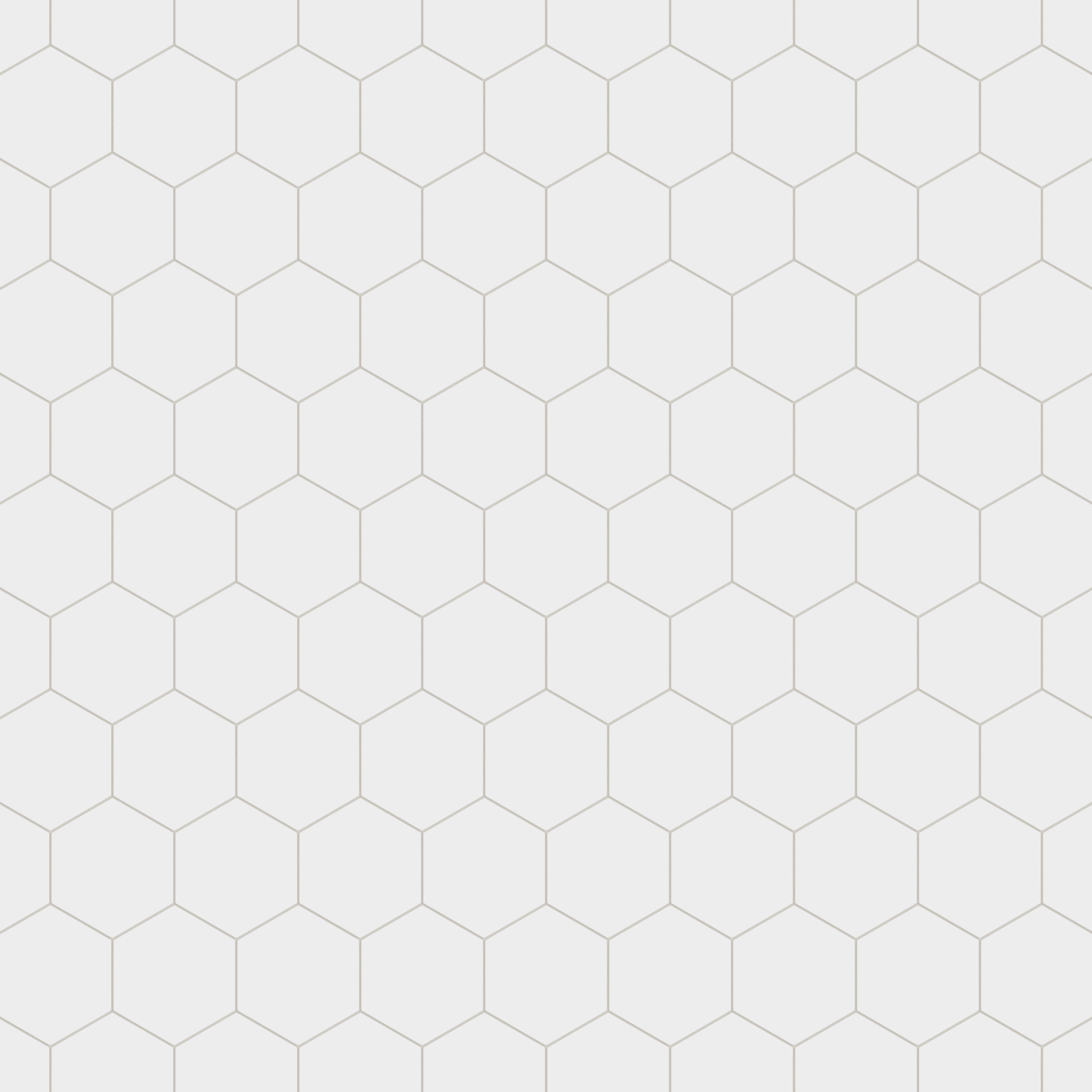 8" Hexagon Natural Press Ceramic Tile in Salt Creek Matte