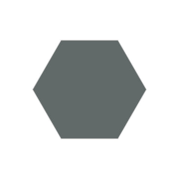 8" Hexagon Original Ceramic Tile in Flagstone Gloss