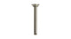 Emerson 8" Straight Shower Arm with Flange in French Nickel