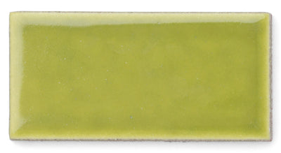 2x4 Sample in Palm Tree Gloss