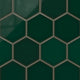 8" Hexagon Original Ceramic Tile in Evergreen Gloss