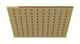 Flatiron 8" Shower Head in Uncoated Polished Brass