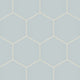 8" Hexagon Natural Press Ceramic Tile in Hood River Matte