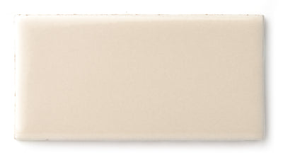 2x4 Sample in Tumbleweed Gloss