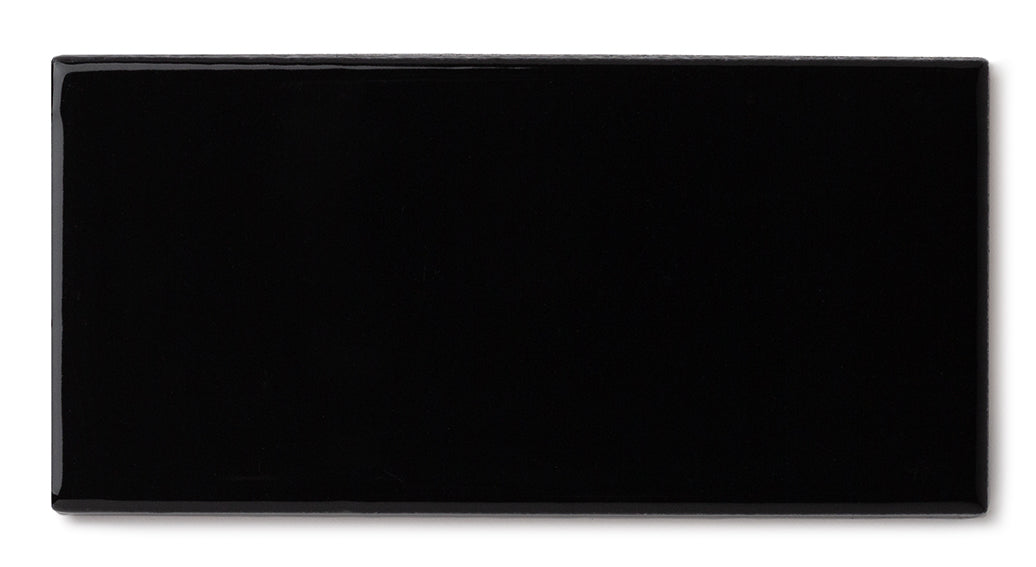 2x4 Sample in Bone Black Gloss