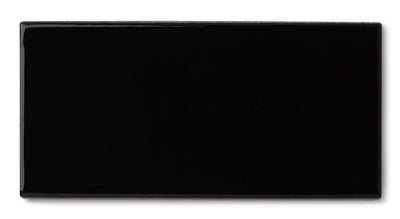 2x4 Sample in Bone Black Gloss