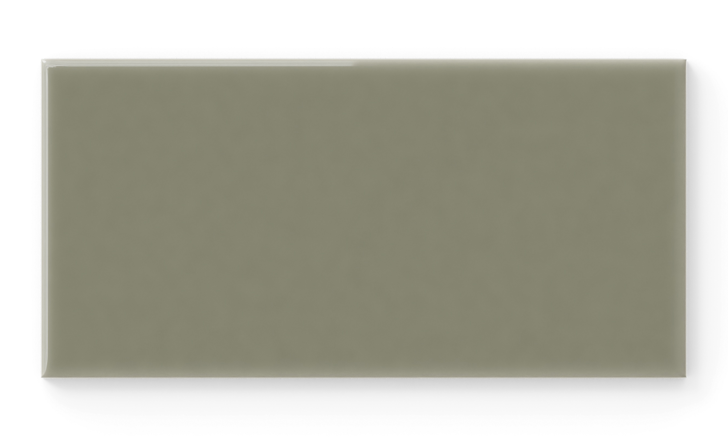 Fern Gloss