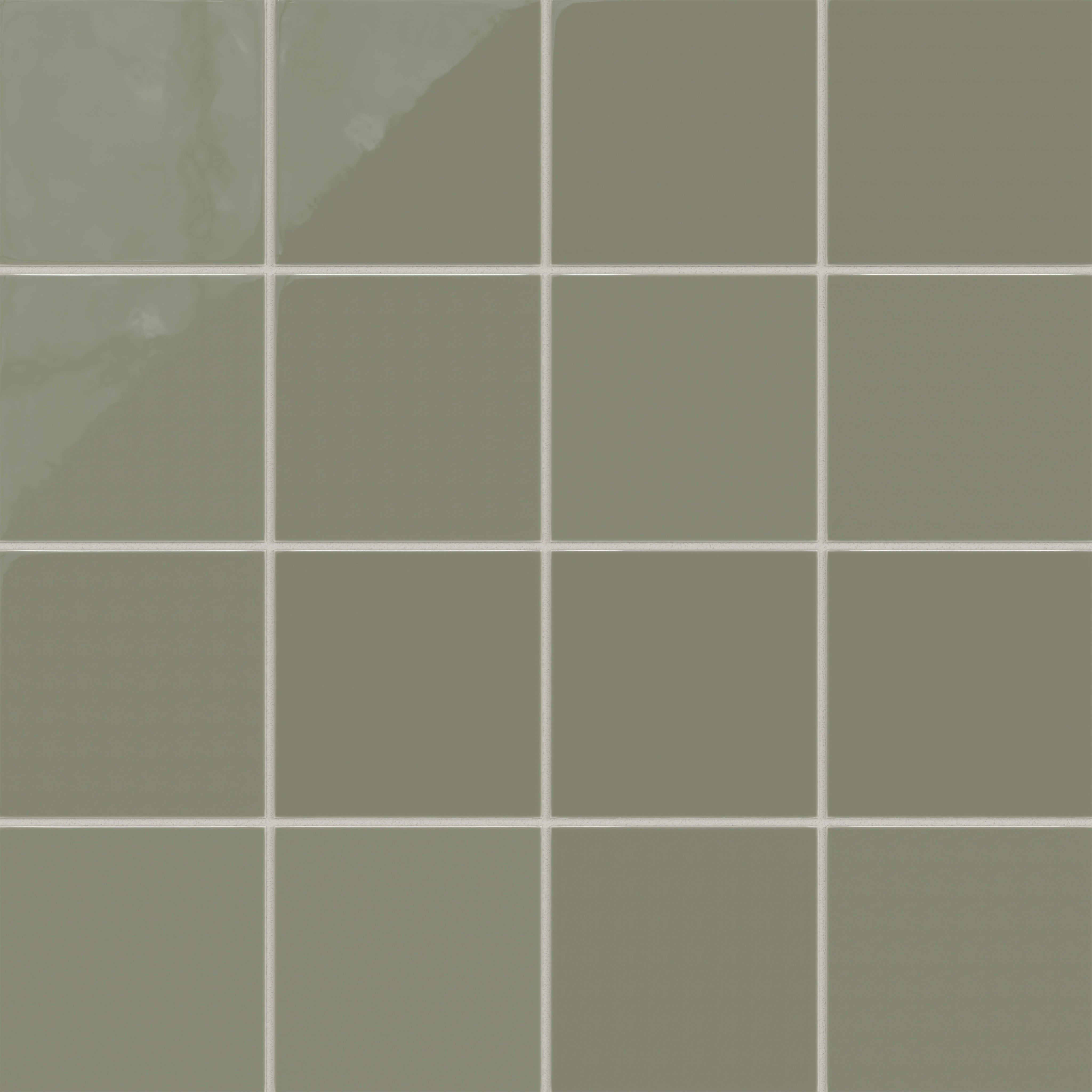 Fern Gloss