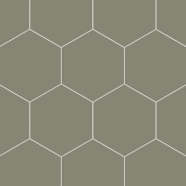 8" Hexagon Natural Press Ceramic Tile in Fern Matte