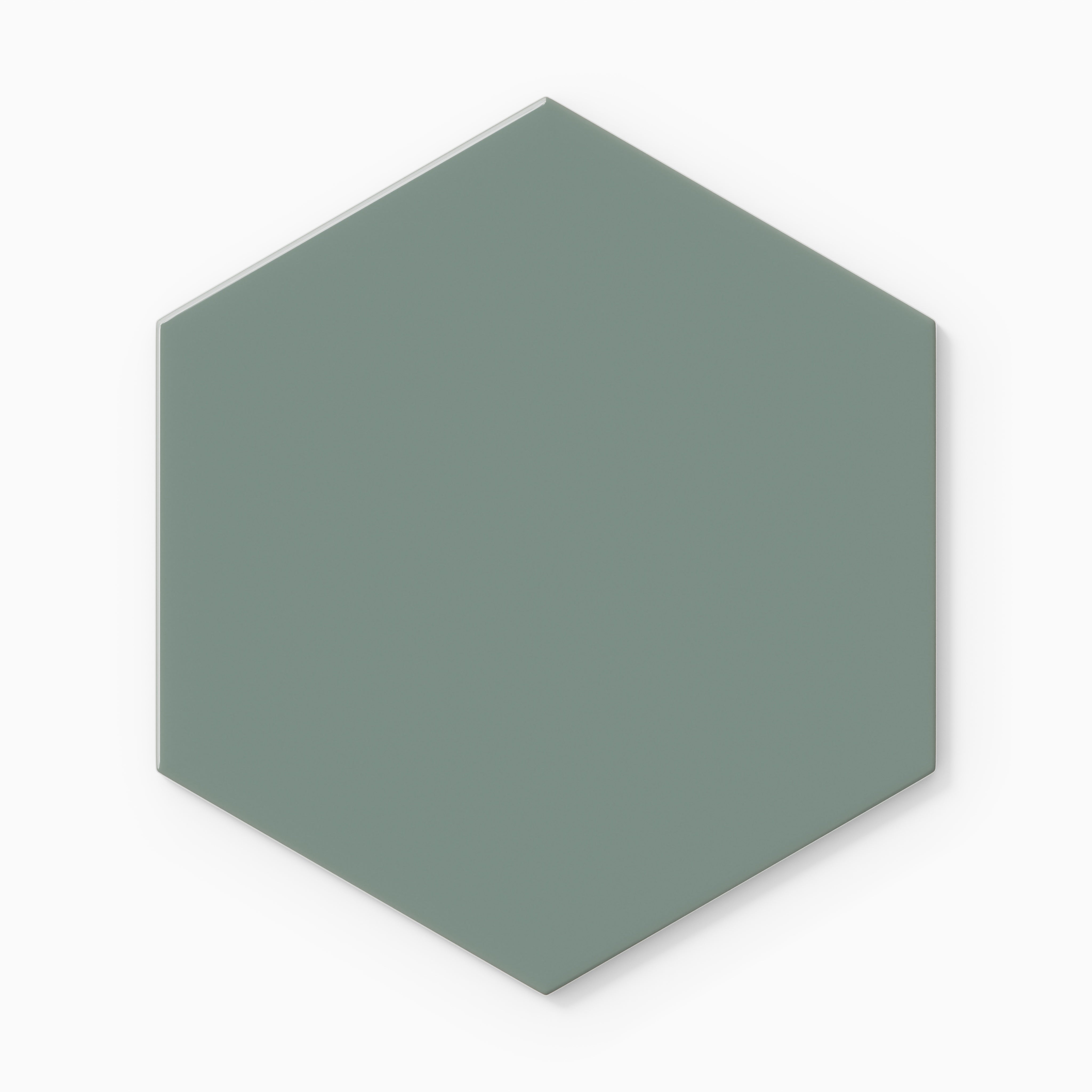 8" Hexagon Original Ceramic Tile in Flagstone Gloss