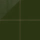 12x12 Natural Press Ceramic Tile in Green Apatite Gloss