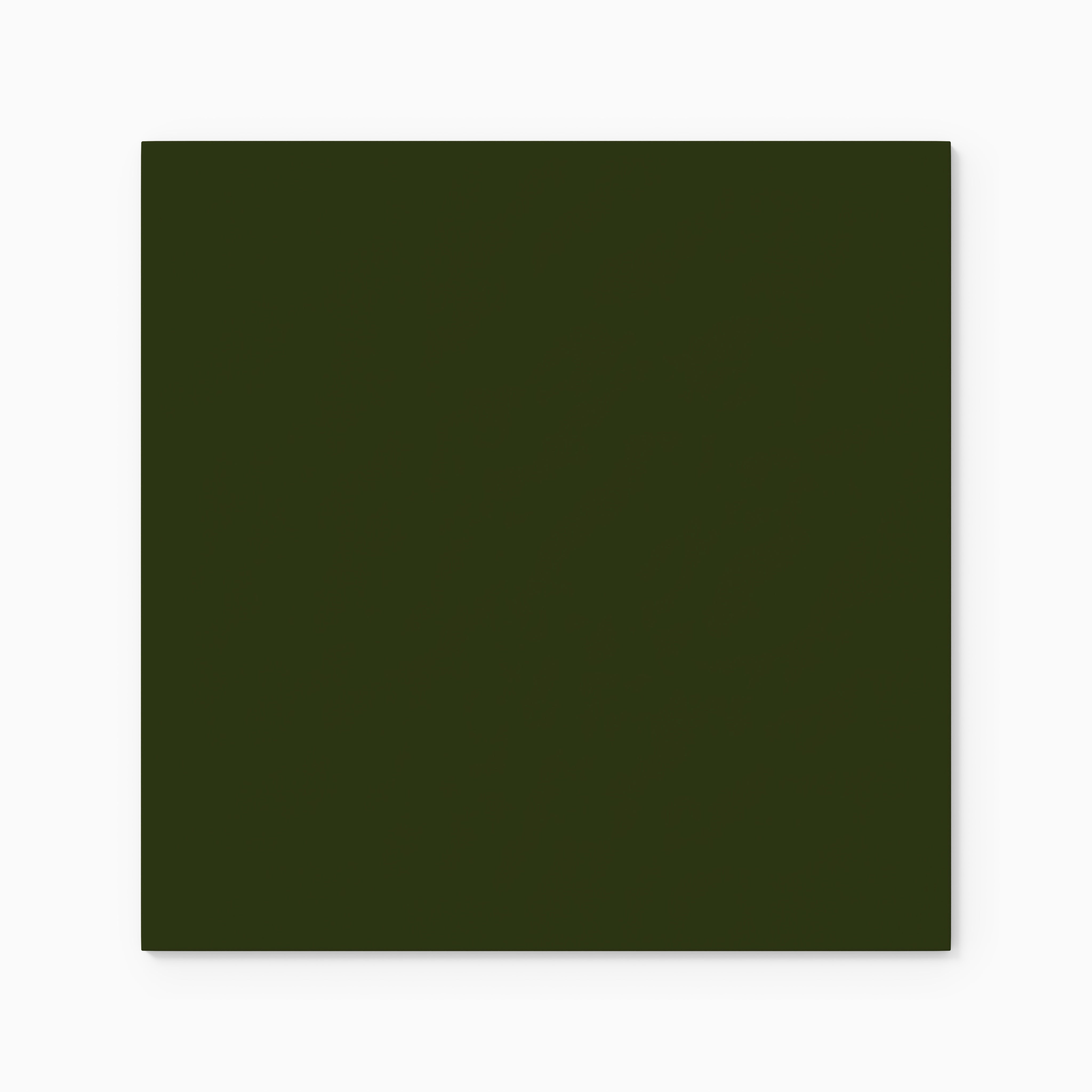 12x12 Natural Press Ceramic Tile in Green Apatite Gloss