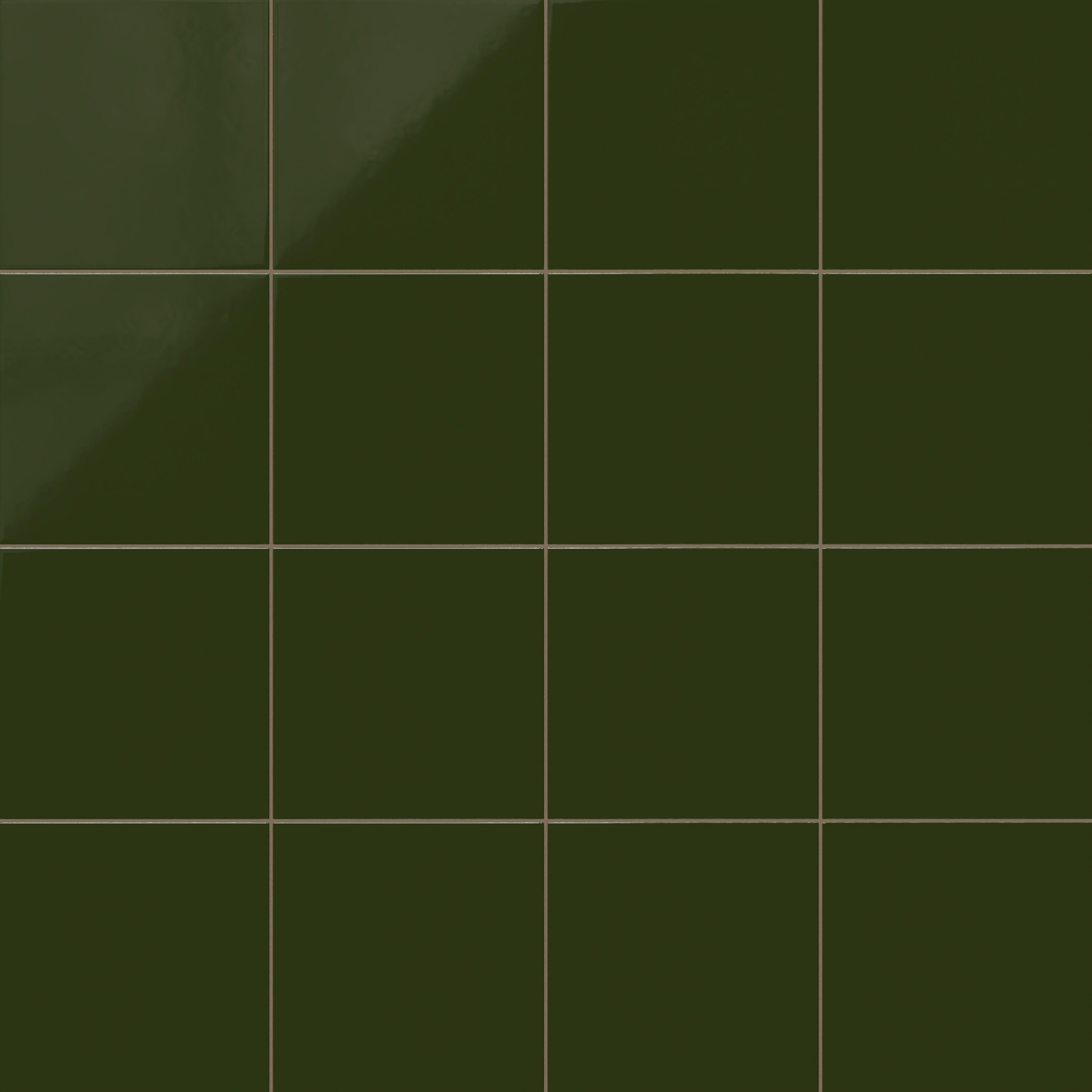 12x12 Natural Press Ceramic Tile in Green Apatite Gloss