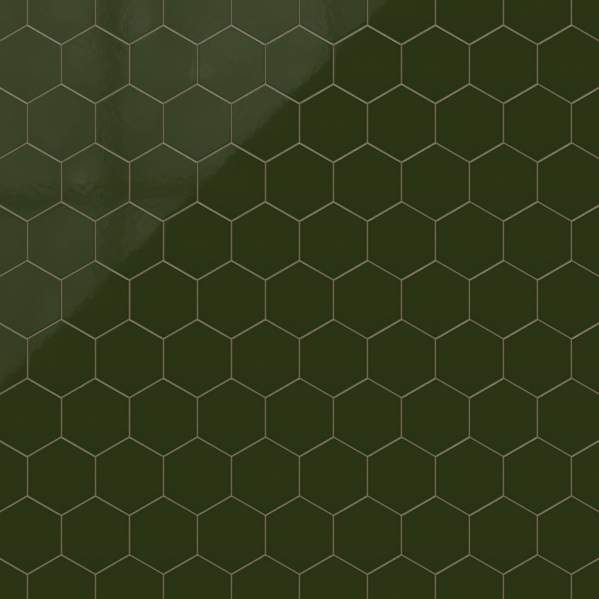 8" Hexagon Natural Press Ceramic Tile in Green Apatite Gloss