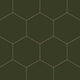 8" Hexagon Natural Press Ceramic Tile in Green Apatite Matte