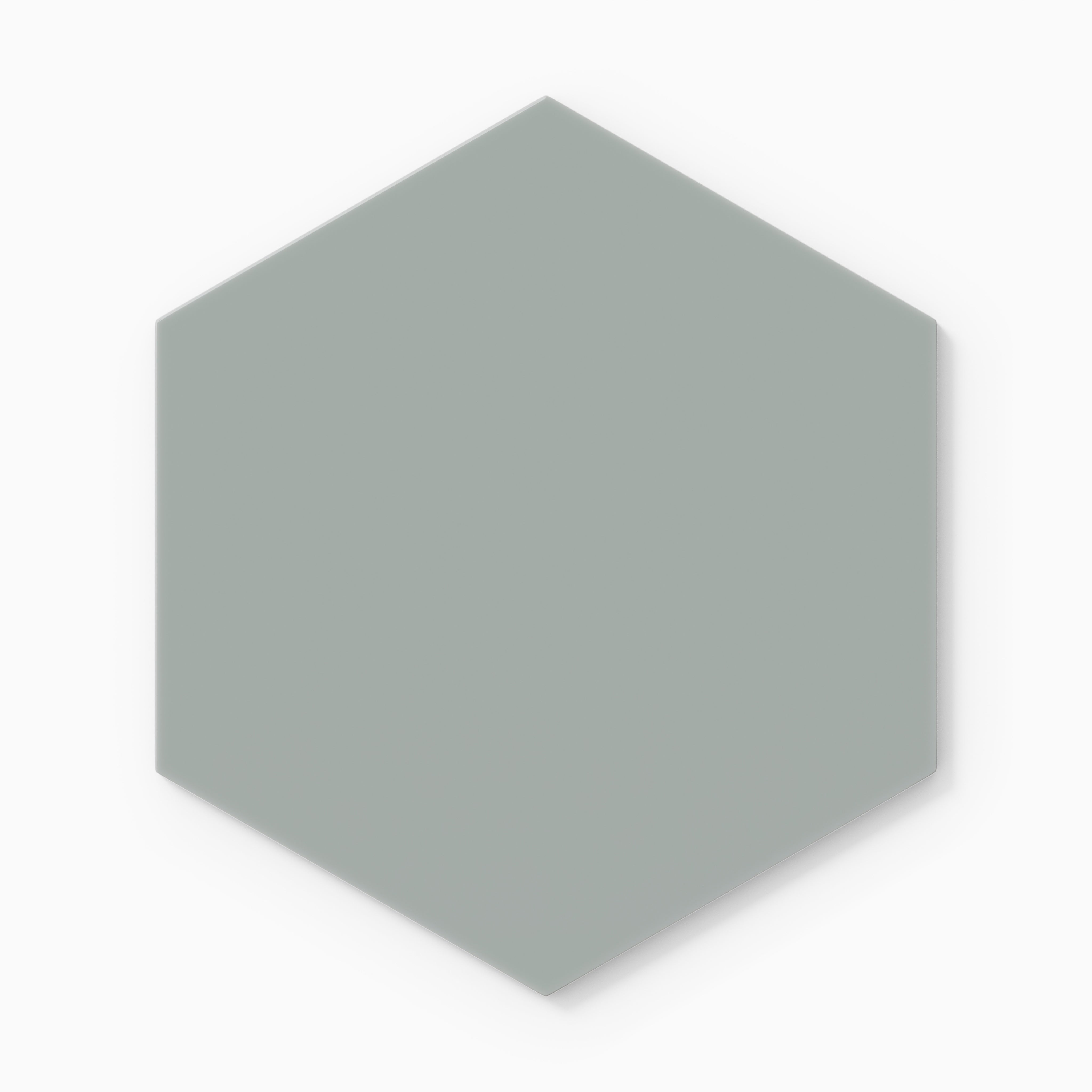 8" Hexagon Natural Press Ceramic Tile in Hood River Gloss