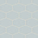 Elongated Hexagon Natural Press Ceramic Tile in Hood River Matte