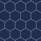6" Hexagon Original Ceramic Tile in Lake Tahoe Matte