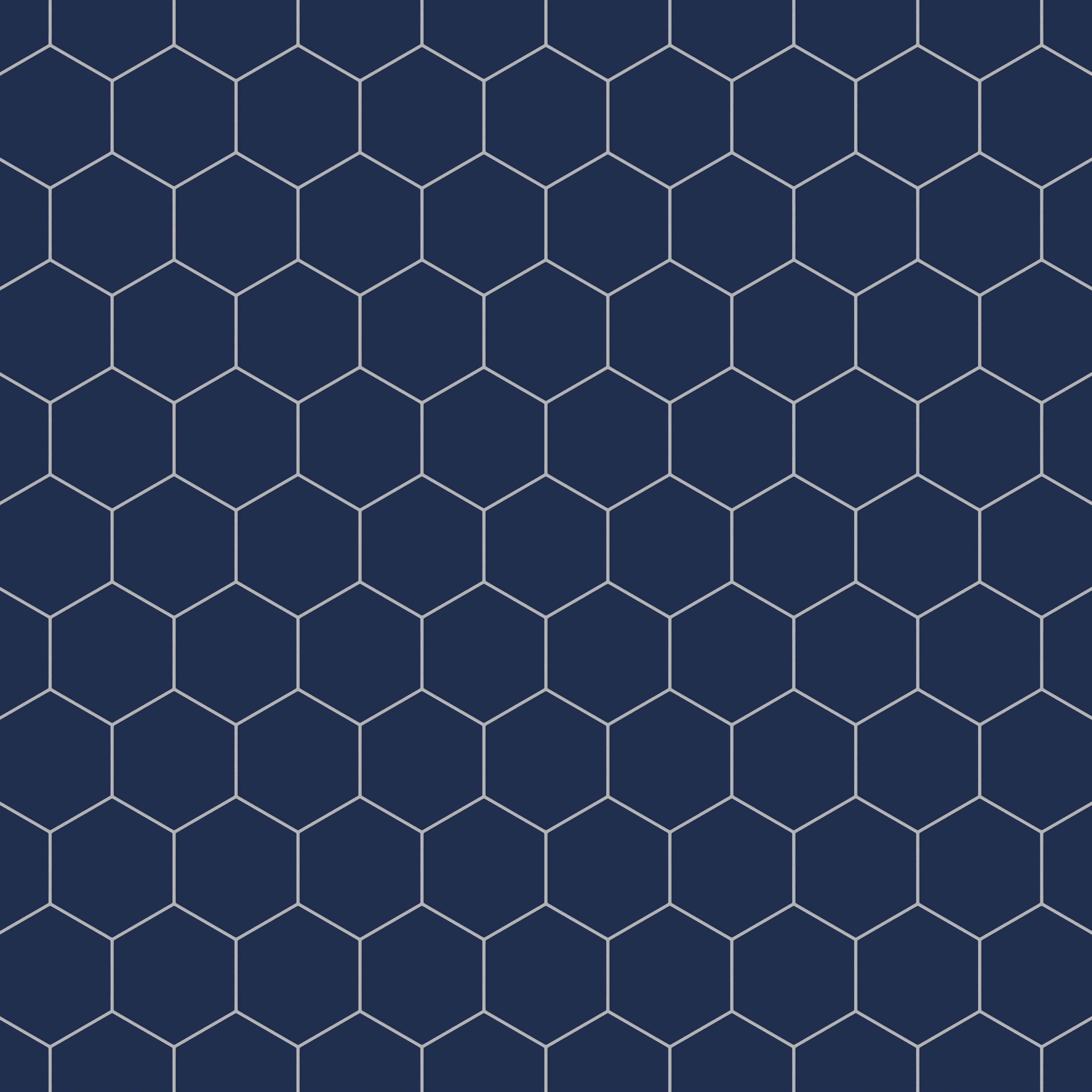 8" Hexagon Original Ceramic Tile in Lake Tahoe Matte