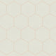 6" Hexagon Original Ceramic Tile in Limewash Matte