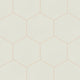 8" Hexagon Original Ceramic Tile in Limewash Matte