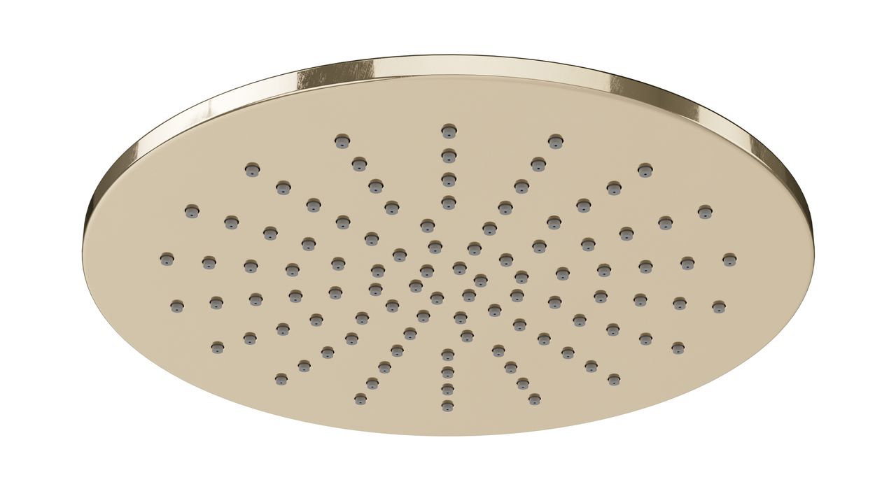 Shower 8" Flat Shower Head in Polished Brass