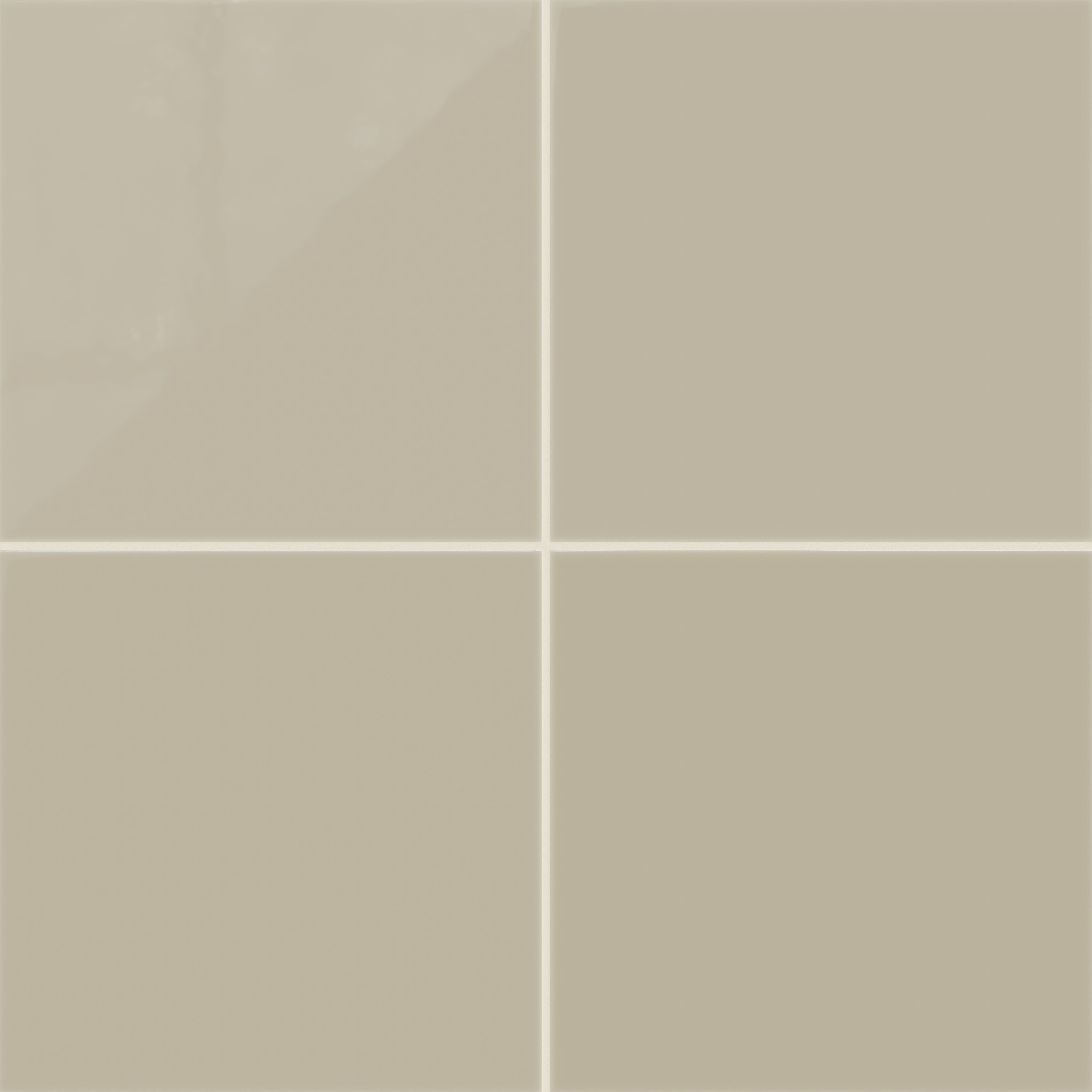 Morel Gloss