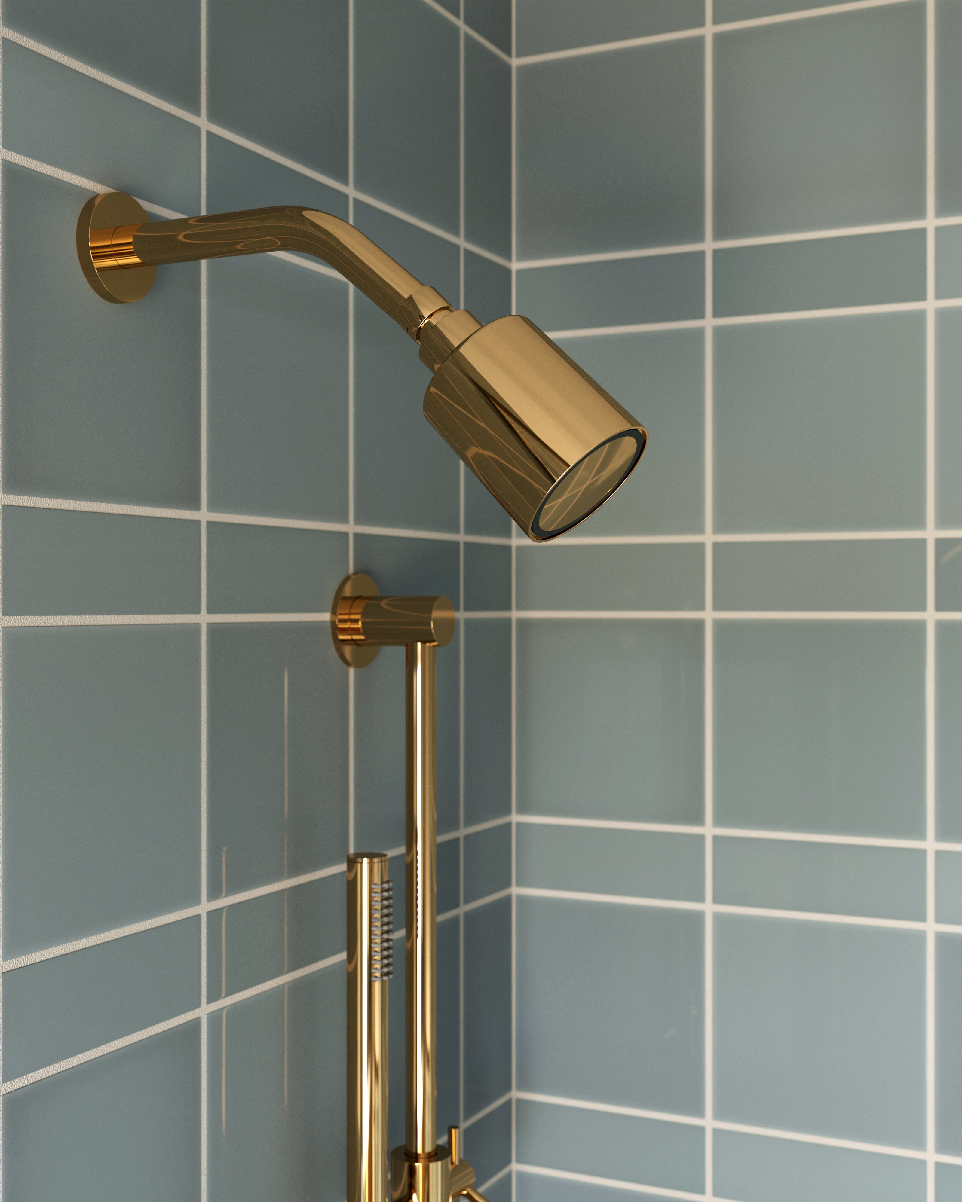 Contour & Foundry Shower Head in Polished Brass