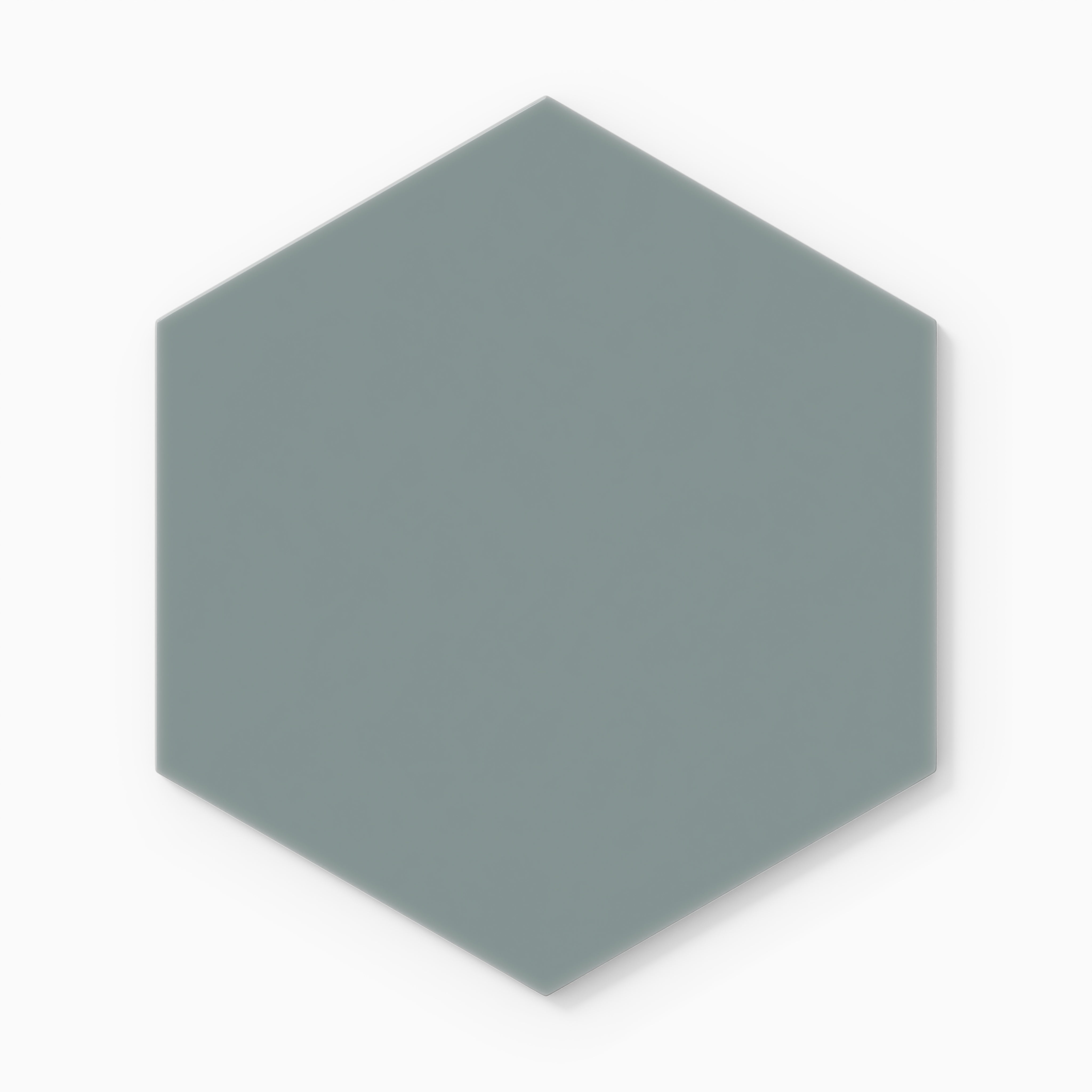 8" Hexagon Natural Press Ceramic Tile in North Fork Gloss
