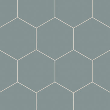 8" Hexagon Natural Press Ceramic Tile in North Fork Matte