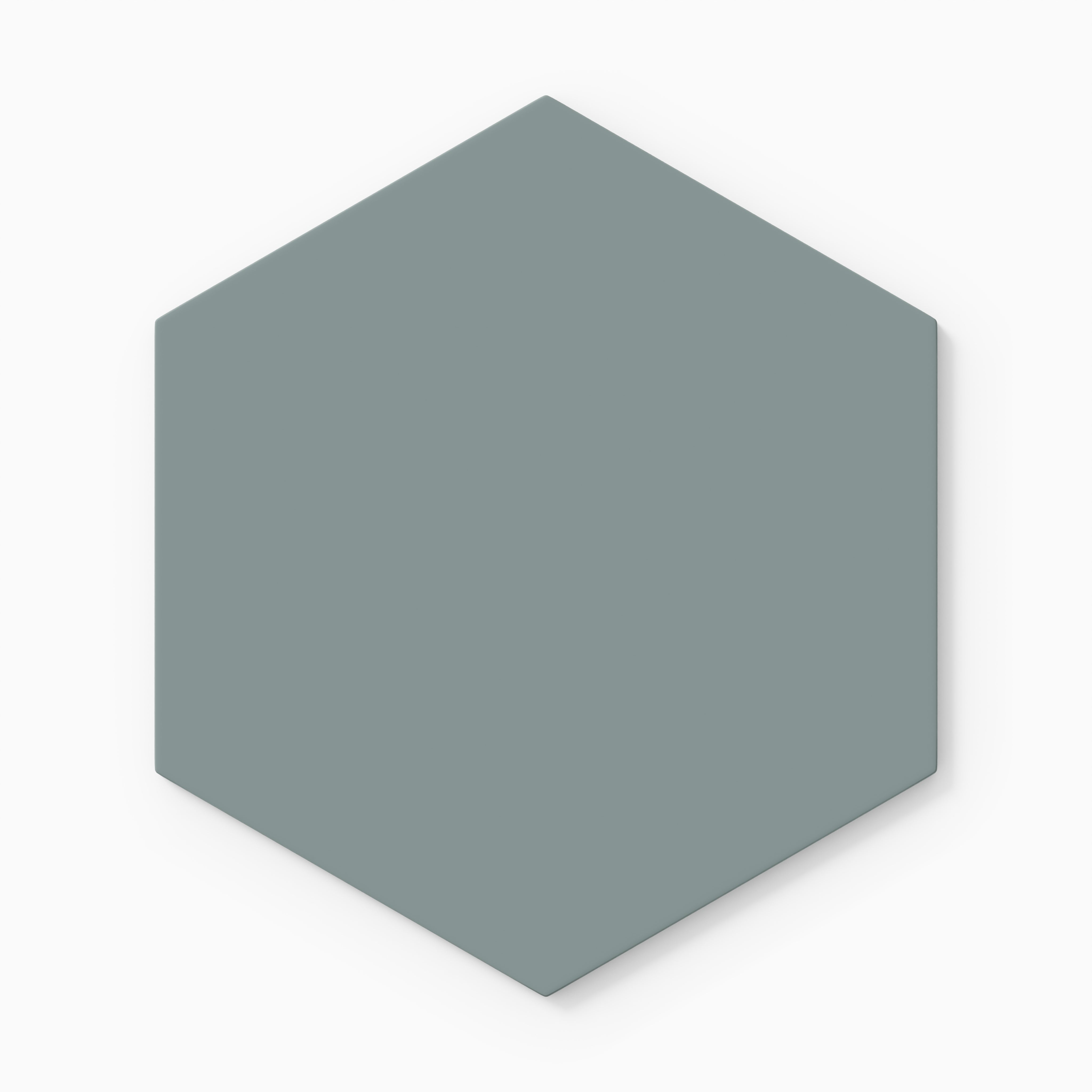 8" Hexagon Natural Press Ceramic Tile in North Fork Matte