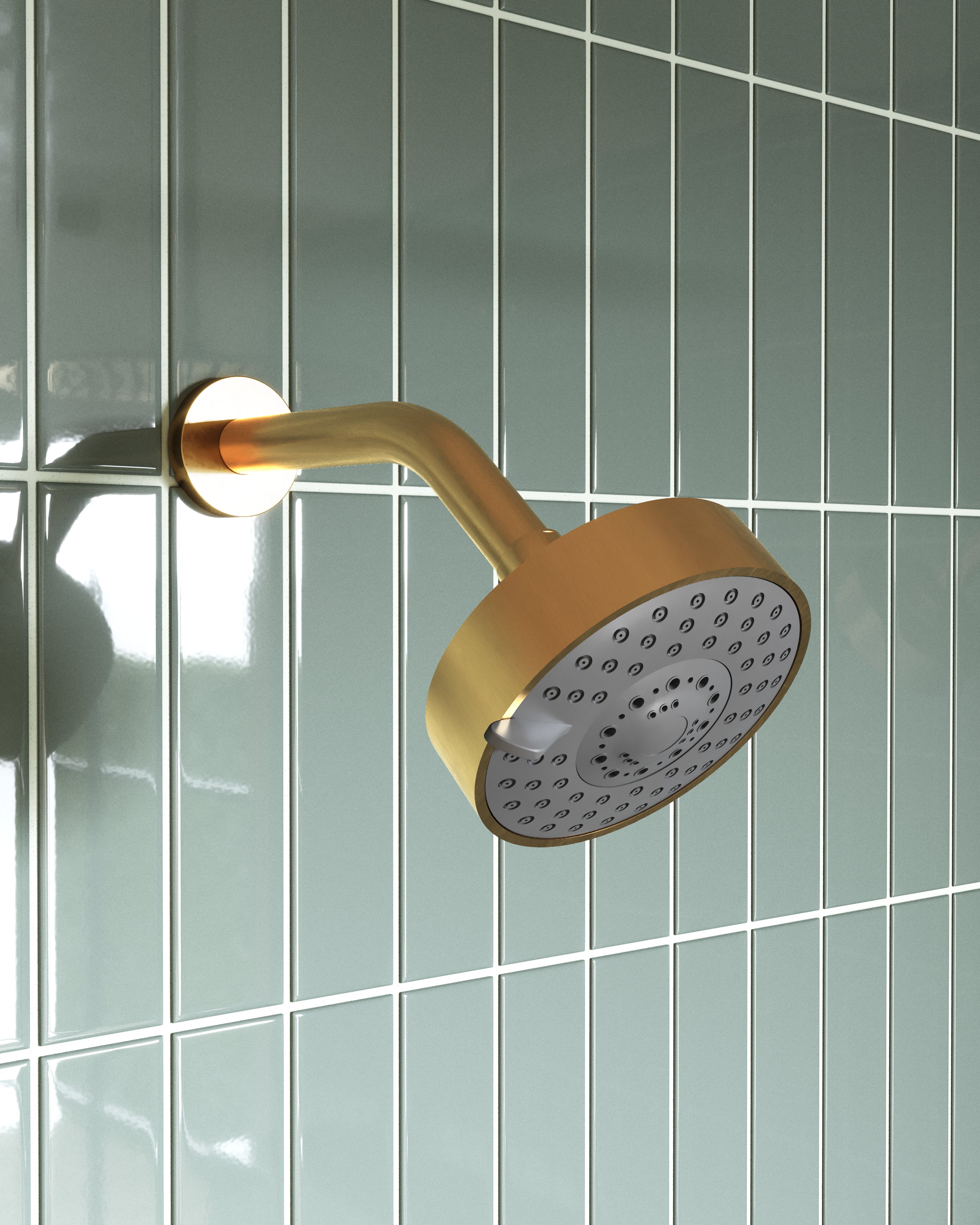 Shower 4.5" Multi-Function Shower Head in French Brass