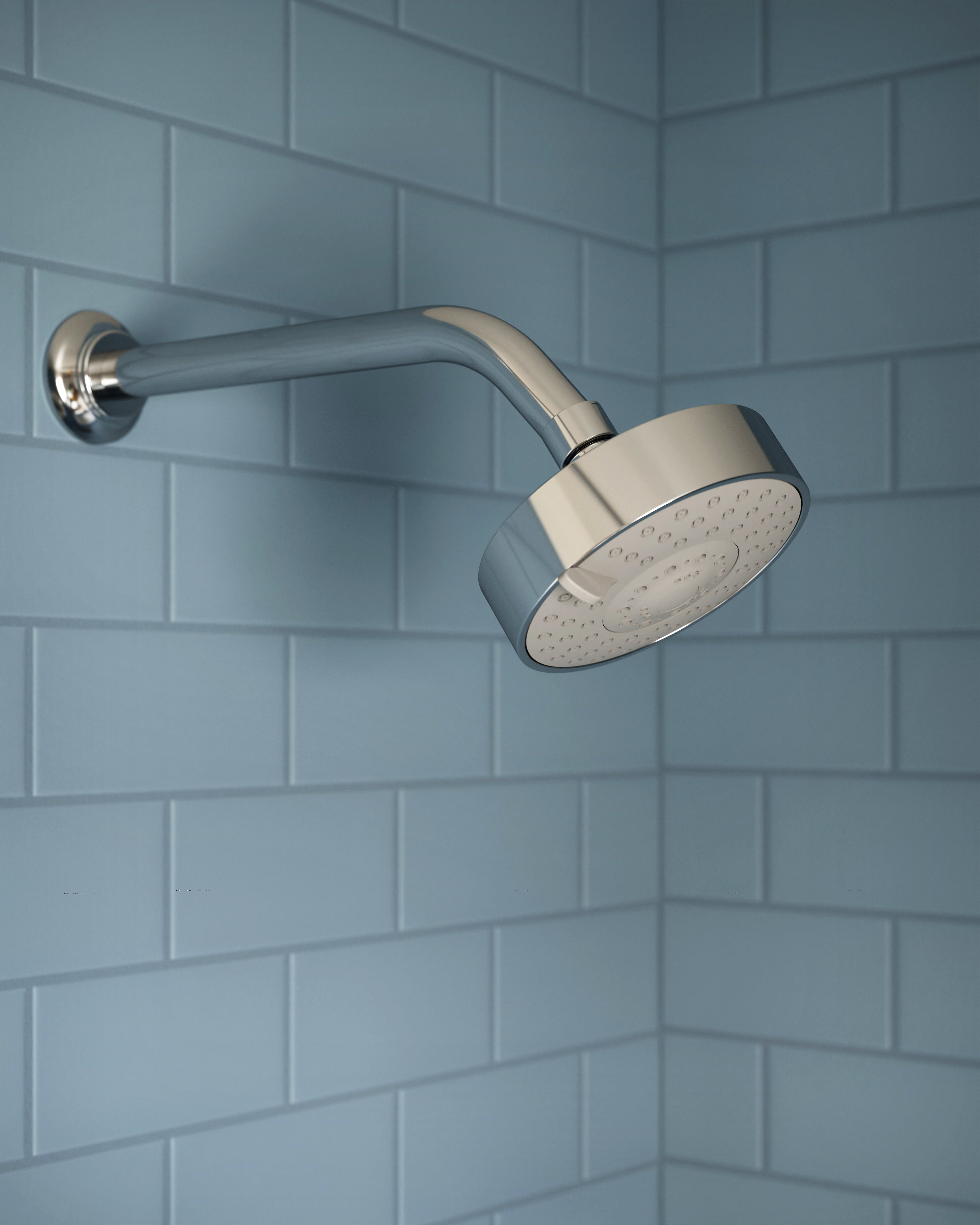 Shower 4.5" Multi-Function Shower Head in Polished Chrome