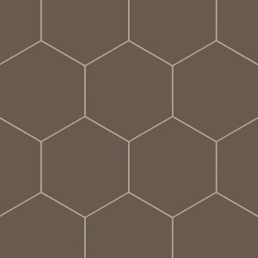 8" Hexagon Natural Press Ceramic Tile in Otter Matte