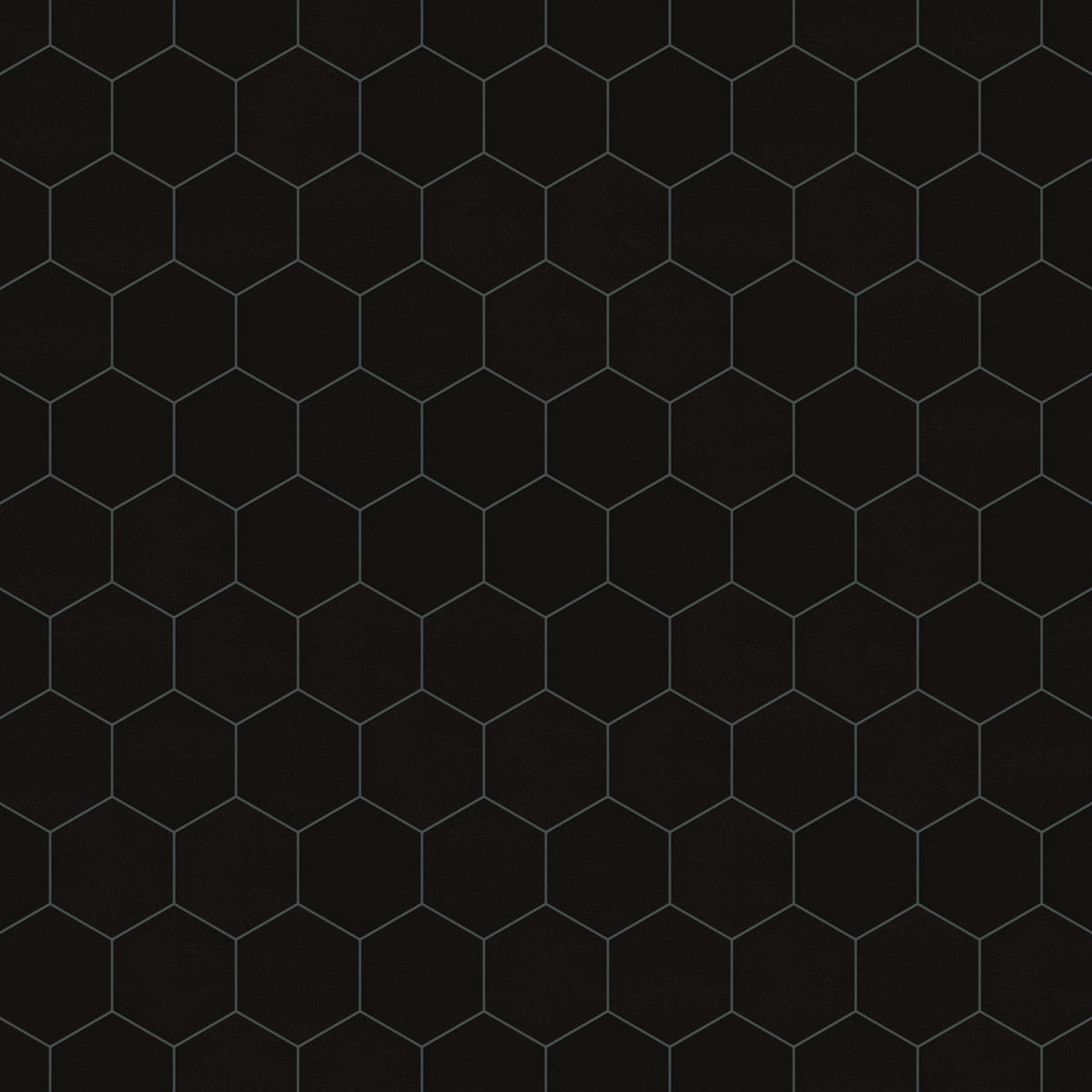 8" Hexagon Original Ceramic Tile in Raven Matte