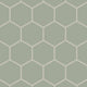6" Hexagon Original Ceramic Tile in Rosemary Matte