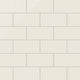 4x8 Natural Press Ceramic Tile in Salt Creek Gloss