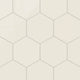 8" Hexagon Natural Press Ceramic Tile in Salt Creek Gloss