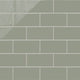 4x8 Natural Press Ceramic Tile in Terre Verte Gloss