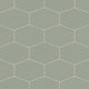 Elongated Hexagon Natural Press Ceramic Tile in Terre Verte Matte