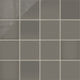 6x6 Natural Press Ceramic Tile in Timberline Gloss
